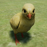 Little Chick Simulator