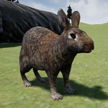 Happy Rabbit Simulator