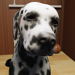 The Dalmatian