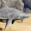 Happy Bull Shark Simulator APK