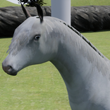 Happy Horse Simulator