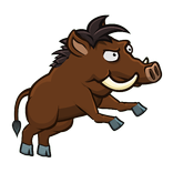 Run, boar, run!