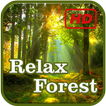 Relax Forest ikon