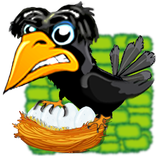 Gutsy Crow