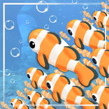Ocean Fest