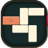 Puzzle Block