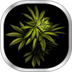 Weed Live Wallpaper APK