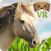 VR Horse Ride APK