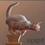 Wood Carving