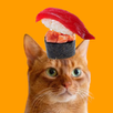 Stack Cat APK