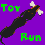 Toy Run