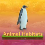 Animal Habitats
