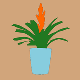 Growings APK
