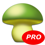 MushtoolPro - Mushroom