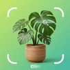 Scan Plant Disease Identifier APK