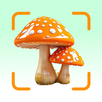 Mushroom Identifier - Shroomly APK