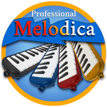 ”Professional Melodica