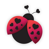 شات تعارف زواج دردشة عربي مسلم APK