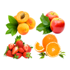 Learn Fruits Vegetables APK