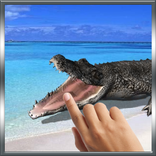 Biting Crocodile LWP