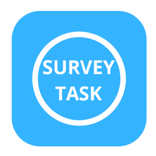 Survey Task