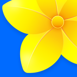 Gallery - Photos & Videos