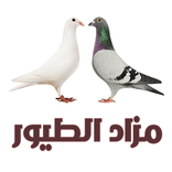 مزاد الطيور والحمام والدجاج