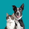 Maddie's Pet Assistant APK