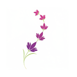 جنة الزهراء -Janat alzhraa