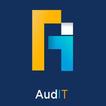 Audit icono