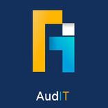 Audit