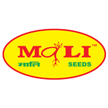Mali Seeds