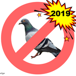 Bird Repellent Simulator
