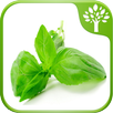Home Remedies - Natural Cure APK