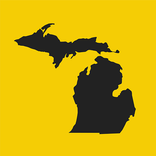 Michigan Academic Standards