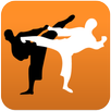 Karate in brief APK