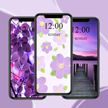 Purple Wallpaper 2024