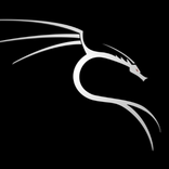Kali VPN: Super Fast and Unlim