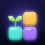Luma Loops: Block Puzzle