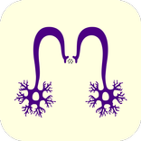 MEDIKQUIZ -ENAM RESIDENCIA MIR
