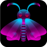 Moth
