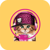 Groovy Forever APK