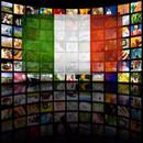 CANALI TV IN DIRETTA APK