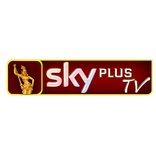 Sky plus TV