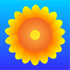 Sunflower Browser APK
