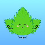 Mint VPN