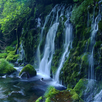 Buddhism, Taoism calm Music APK