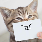 Fantasy draw your idea icon