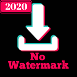 Tiktok downloader no watermark