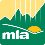 MLA Market Information